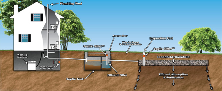 How Your Septic System Works